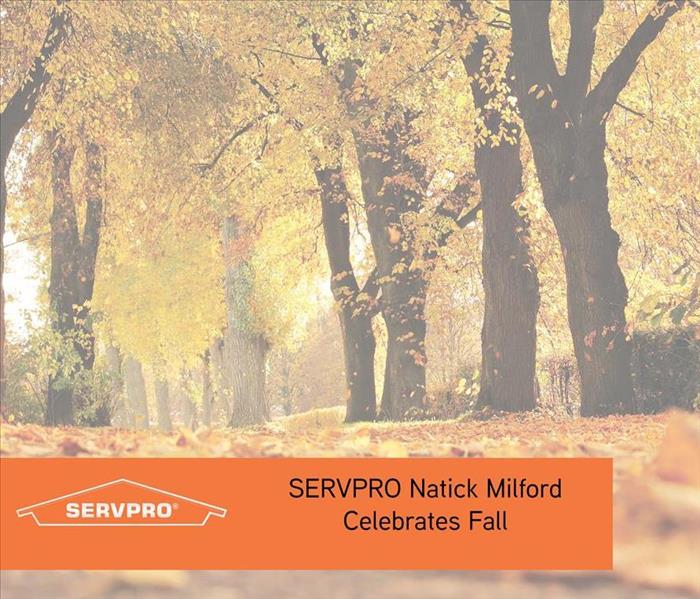 Fall background with orange  SERVPRO logo and orange box overlay