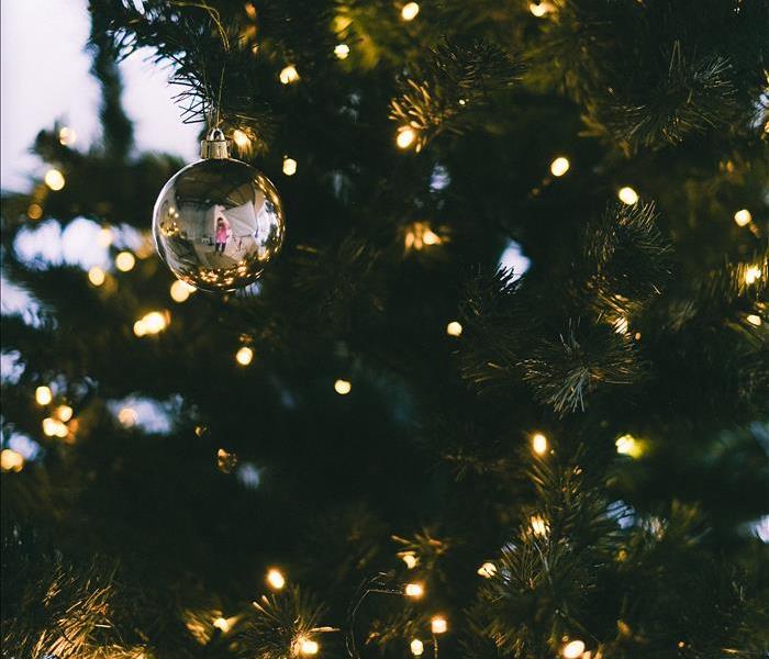 Christmas tree Lights