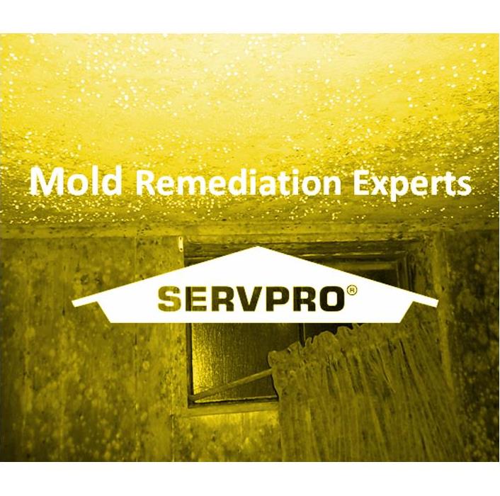 image of moldy wall and ceiling with SERVPRO logo and text, Mold Remediation Experts
