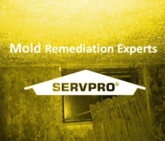 Image of moldy wall and ceiling with SERVPRO logo and text, Mold Remediation Experts